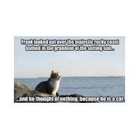 pondering cat.jpeg